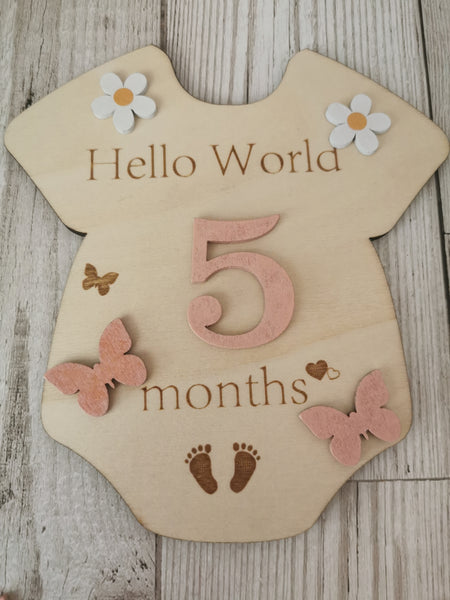 Baby Milestone  Marker Wooden Plaque