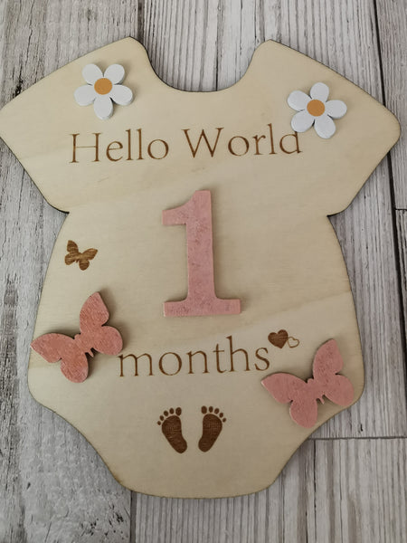 Baby Milestone  Marker Wooden Plaque