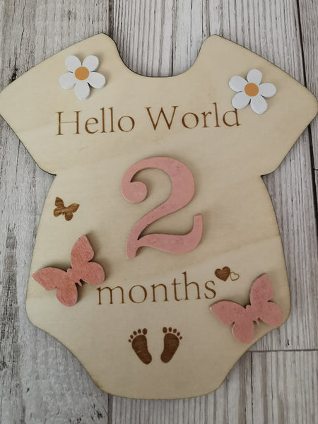Baby Milestone  Marker Wooden Plaque