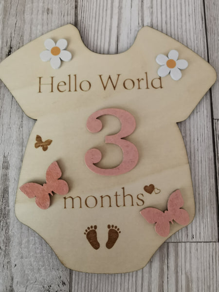 Baby Milestone  Marker Wooden Plaque