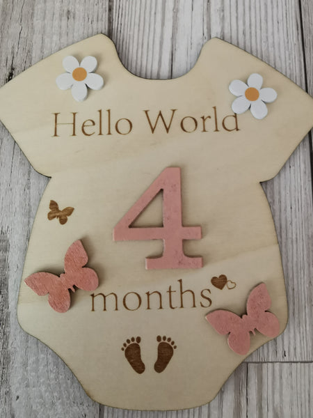 Baby Milestone  Marker Wooden Plaque