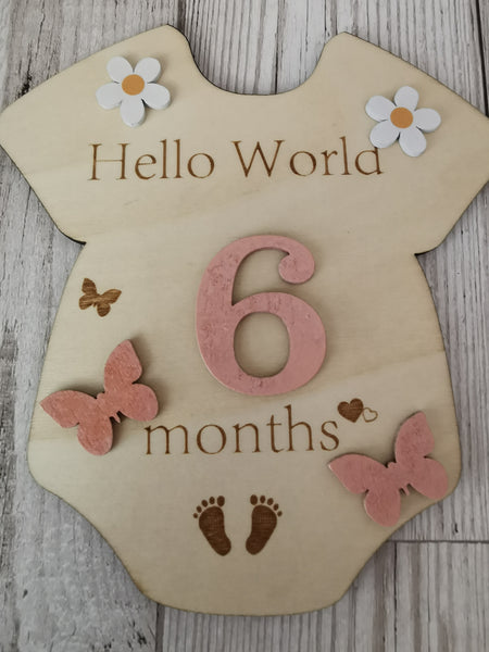 Baby Milestone  Marker Wooden Plaque