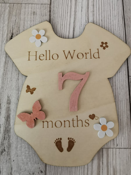 Baby Milestone  Marker Wooden Plaque