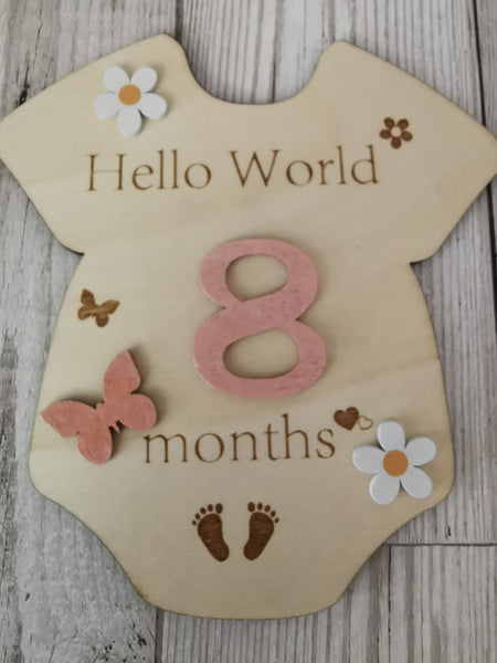 Baby Milestone  Marker Wooden Plaque