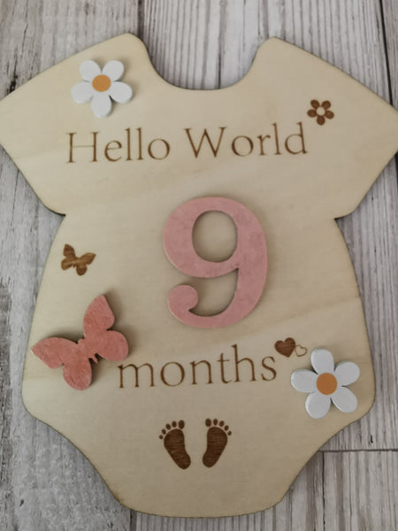 Baby Milestone  Marker Wooden Plaque