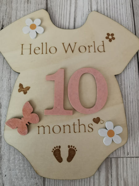 Baby Milestone  Marker Wooden Plaque