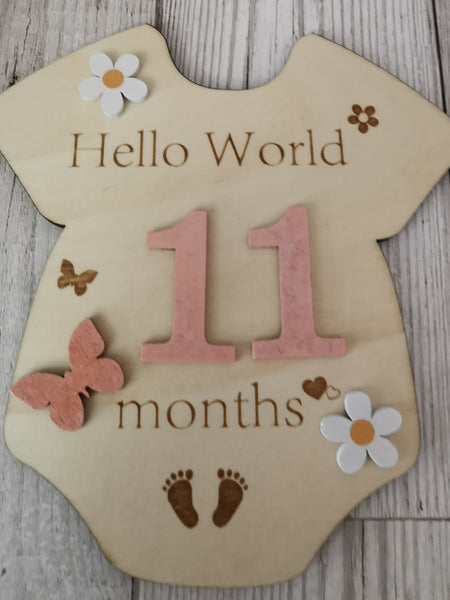 Baby Milestone  Marker Wooden Plaque