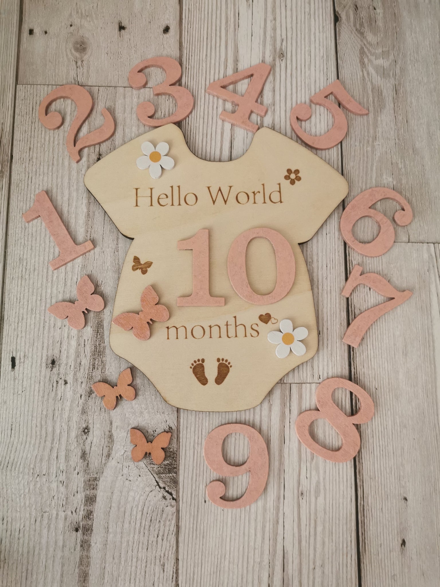 Baby Milestone  Marker Wooden Plaque