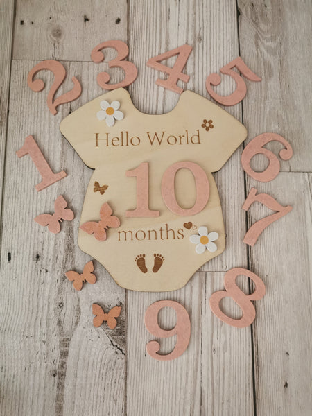 Baby Milestone  Marker Wooden Plaque