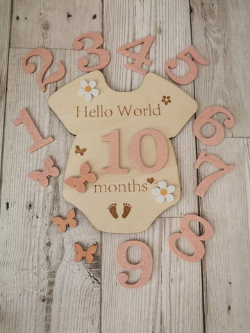 Baby Milestone  Marker Wooden Plaque